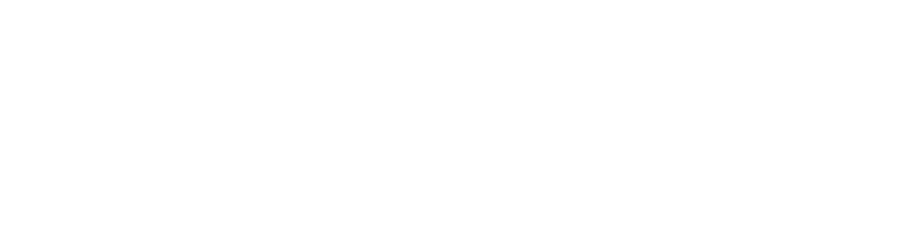 Logo finançat per la UE